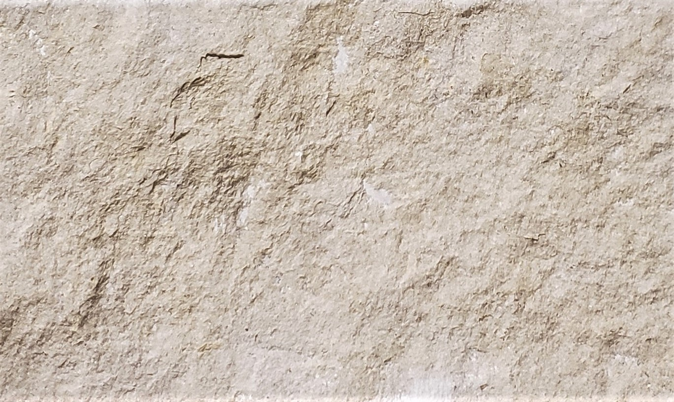 Lueders Limestone block